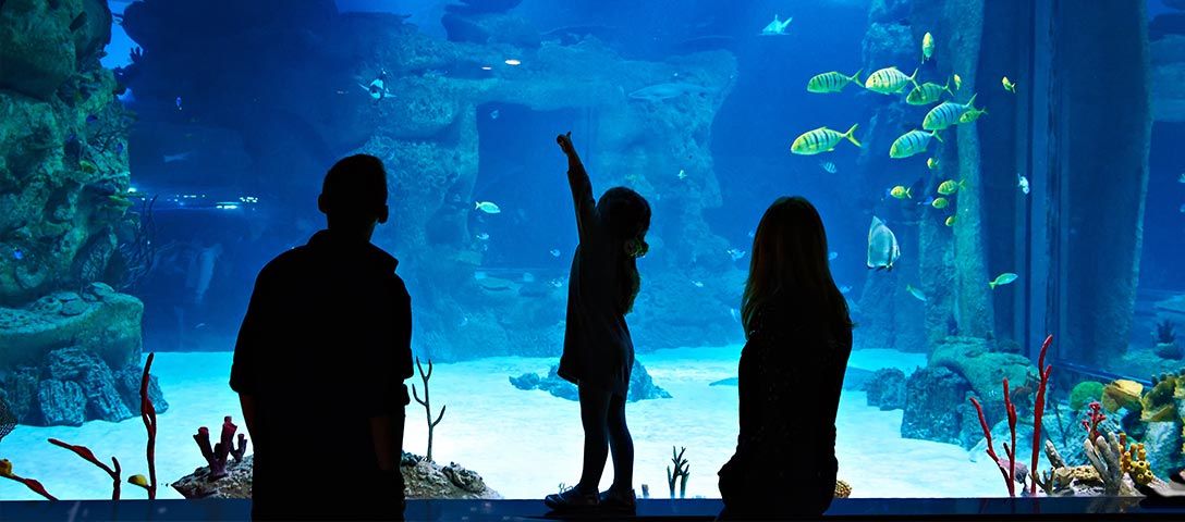 10 Most Amazing Underwater Hotels Locations to Stay at Night
