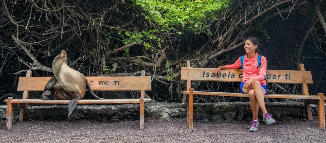 Best Time to Visit Galapagos Islands
