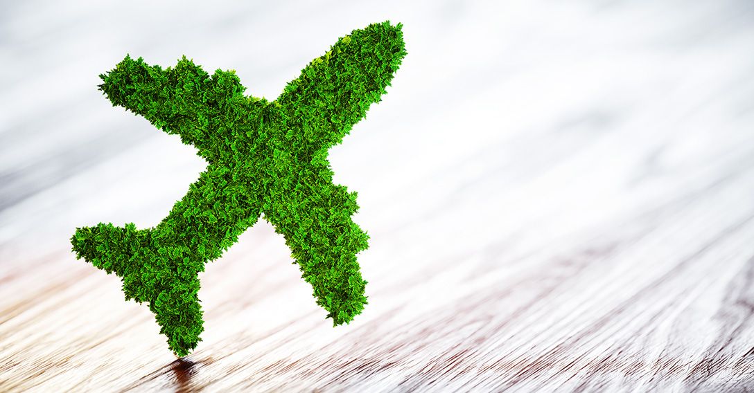 How Do You Help the Planet by Taking Carbon Offset Flights