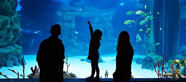 10 Most Amazing Underwater Hotels Locations to Stay at Night