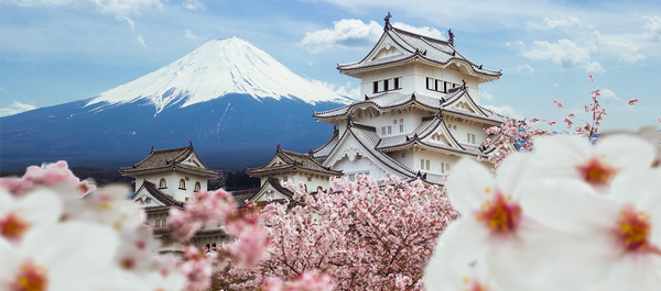 Top 15 Spots to Admire the Brilliant Japanese Cherry Blossom