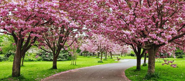 World’s 30 Most Picturesque Streets and Avenues